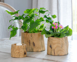 Faux Bois Garden Forest Pot, 5" ECL36005 Park Hill