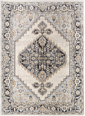 Zidane ZDN-2300 7'10" x 10' Machine Woven Rug ZDN2300-71010 Livabliss Surya