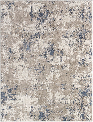 Zidane ZDN-2304 7'10" x 10' Machine Woven Rug ZDN2304-71010 Livabliss Surya