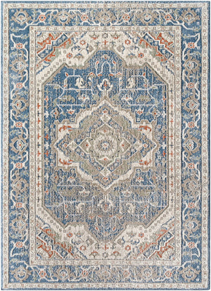 Zidane ZDN-2307 7'10" x 10' Machine Woven Rug ZDN2307-71010 Livabliss Surya