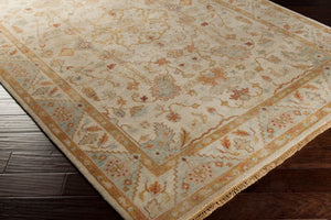 Surya Zeus 10' X 14' Luxurious Handmade Wool Rug - Classic Style, Durable Comfort, Perfect For Any Room! Light Gray Nz Wool Zeu7814-23