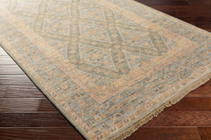 Surya Zeus 10' X 14' Luxurious Handmade Wool Rug - Classic Style, Durable Comfort, Perfect For Any Room! Sage Nz Wool Zeu7826-23