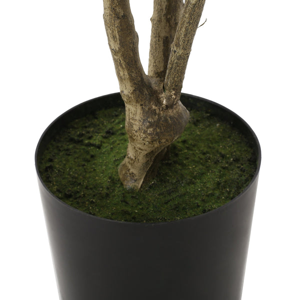English Elm 210cmartificial Pieris Tree Nearly 7 Foot Faux Indoor Statement Plant Iron Frame 74346.00