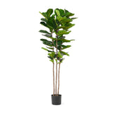 Christopher Knight Home® - Noble House - Socorro 6' X 2' Artificial Fiddle-Leaf Fig Tree, Green