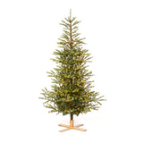 Park Hill Great Northern Spruce Christmas Tree, 7.5' XPQ90663 Park Hill