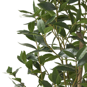 English Elm 150cm Artificial Laurel Tree Faux Potted Plant with Flexible Iron Frame for Any Room 70537.00