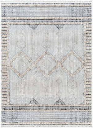 Livabliss Zaragoza Global Inspired High Pile Polyester Runner Rug with Bohemian Fringe Detail Cream, Light Be 5'3" x 7' ZRZ2301-537