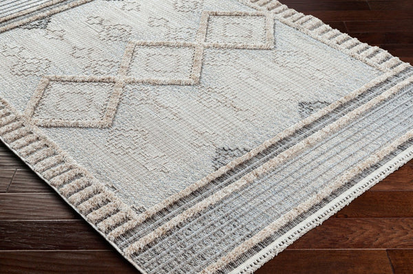 Livabliss Zaragoza Global Inspired High Pile Polyester Runner Rug with Bohemian Fringe Detail Cream, Light Be 5'3" x 7' ZRZ2301-537
