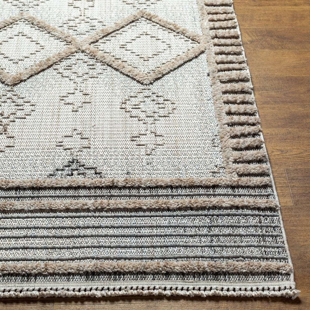 Livabliss Zaragoza Global Inspired High Pile Polyester Runner Rug with Bohemian Fringe Detail Cream, Light Be 2'7" x 7'3" ZRZ2301-2773