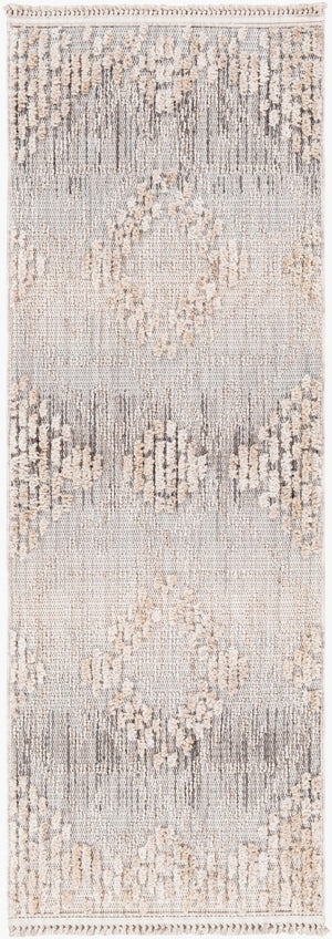 Livabliss Zaragoza Bohemian Global Runner Rug High Pile Polyester Fringe Entryway Hallway Accent Medium Gray, Li 2'7" x 7'3" ZRZ2303-2773