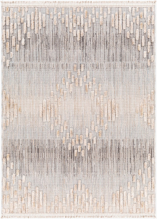 Livabliss Zaragoza Bohemian Global Runner Rug High Pile Polyester Fringe Entryway Hallway Accent Medium Gray, Li 5'3" x 7' ZRZ2303-537