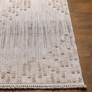 Livabliss Zaragoza Bohemian Global Runner Rug High Pile Polyester Fringe Entryway Hallway Accent Medium Gray, Li 5'3" x 7' ZRZ2303-537
