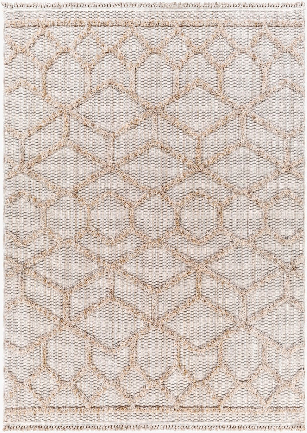 Livabliss Zaragoza Machine Woven Polyester Runner Rug with Fringe High Pile Hallway Accent Cream, Light Be 5'3" x 7' ZRZ2309-537