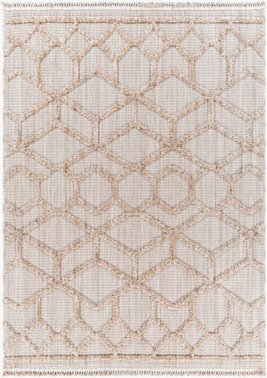 Livabliss Zaragoza Machine Woven Polyester Runner Rug with Fringe High Pile Hallway Accent Cream, Light Be 5'3" x 7' ZRZ2309-537