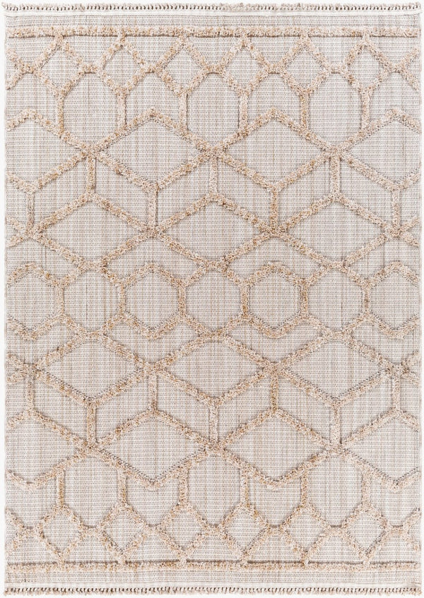 Livabliss Zaragoza Machine Woven Polyester Runner Rug with Fringe High Pile Hallway Accent Cream, Light Be 5'3" x 7' ZRZ2309-537