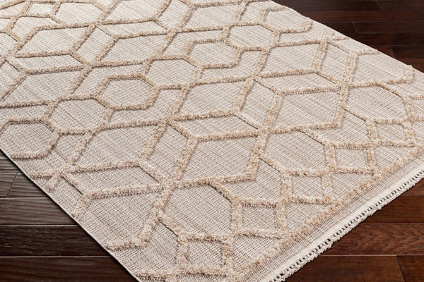 Livabliss Zaragoza Machine Woven Polyester Runner Rug with Fringe High Pile Hallway Accent Cream, Light Be 2'7" x 7'3" ZRZ2309-2773