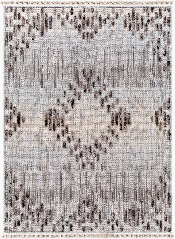 Livabliss Zaragoza Global Fringe Area Rug High Pile Polyester Woven Living Room Accent ZRZ2310-9212