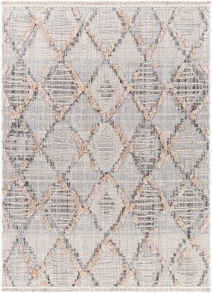Livabliss Zaragoza Bohemian High Pile Area Rug Turkish Woven Fringe Border Living Room Accent ZRZ2311-71010