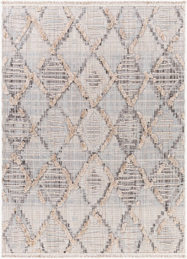 Livabliss Zaragoza Bohemian High Pile Area Rug Turkish Woven Fringe Border Living Room Accent ZRZ2311-71010