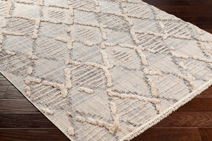 Livabliss Zaragoza Bohemian High Pile Area Rug Turkish Woven Fringe Border Living Room Accent ZRZ2311-71010