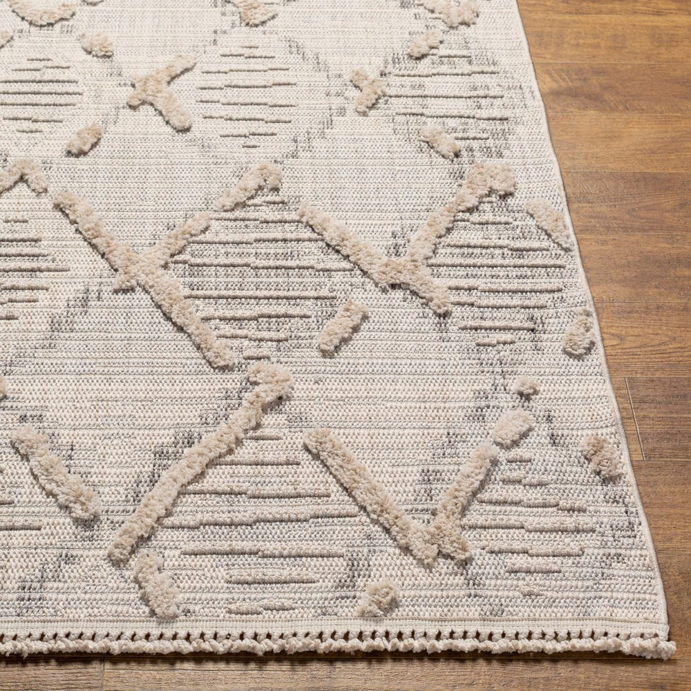 Livabliss Zaragoza Bohemian High Pile Area Rug Turkish Woven Fringe Border Living Room Accent ZRZ2311-71010