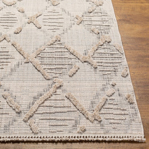 Livabliss Zaragoza Bohemian High Pile Area Rug Turkish Woven Fringe Border Living Room Accent ZRZ2311-71010