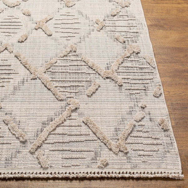 Livabliss Zaragoza Bohemian High Pile Area Rug Turkish Woven Fringe Border Living Room Accent ZRZ2311-71010