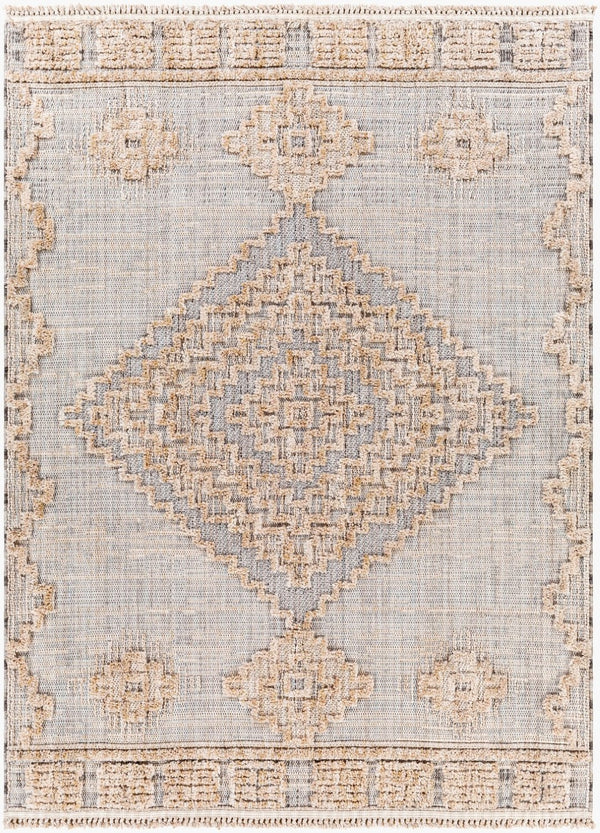 Livabliss Zaragoza Bohemian Global Fringe Polyester Area Rug Soft Plush Pile Living Room ZRZ2312-679