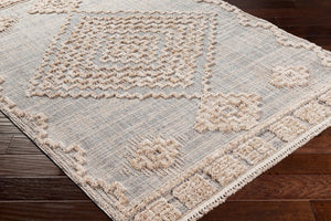 Livabliss Zaragoza Bohemian Global Fringe Polyester Area Rug Soft Plush Pile Living Room ZRZ2312-679