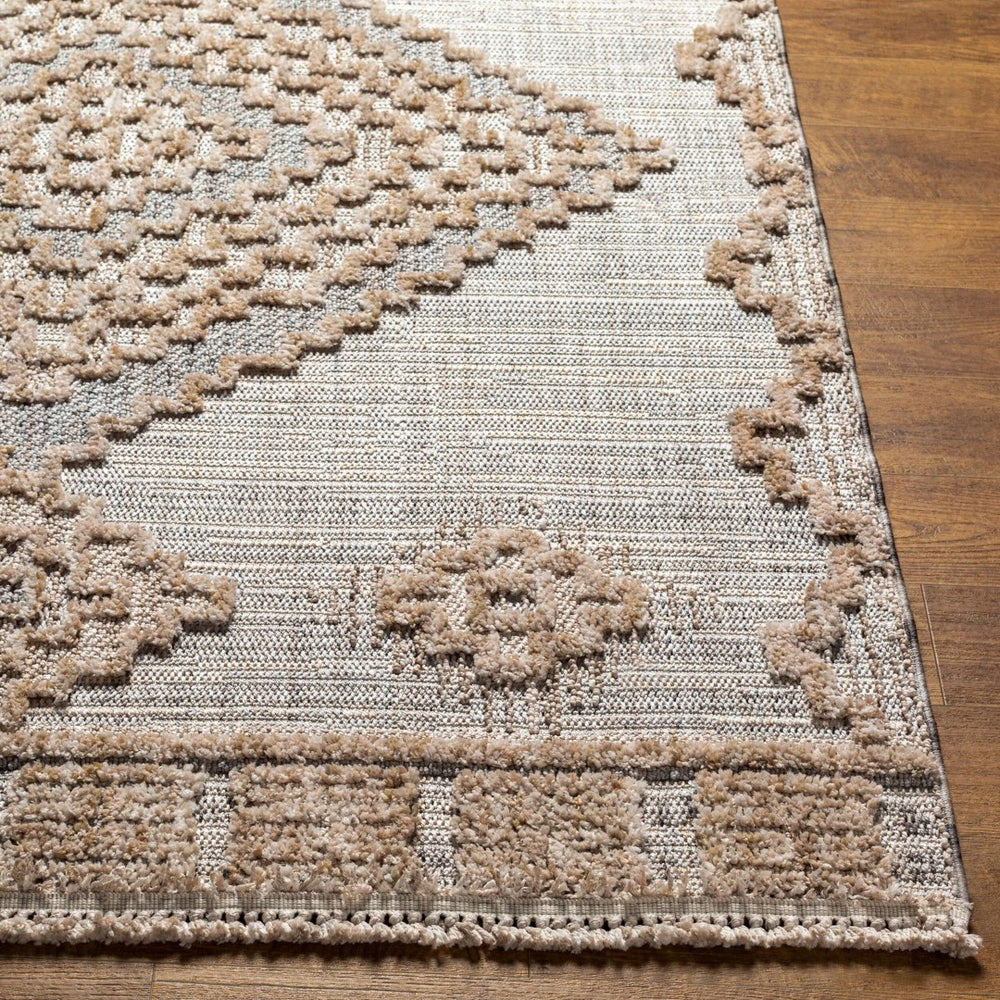 Livabliss Zaragoza Bohemian Global Fringe Polyester Area Rug Soft Plush Pile Living Room ZRZ2312-679