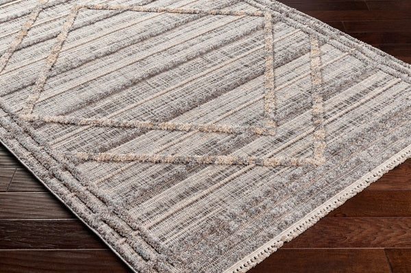 Livabliss Zaragoza Bohemian Global High Pile Polyester Area Rug with Fringe for Living Rooms ZRZ2313-9212
