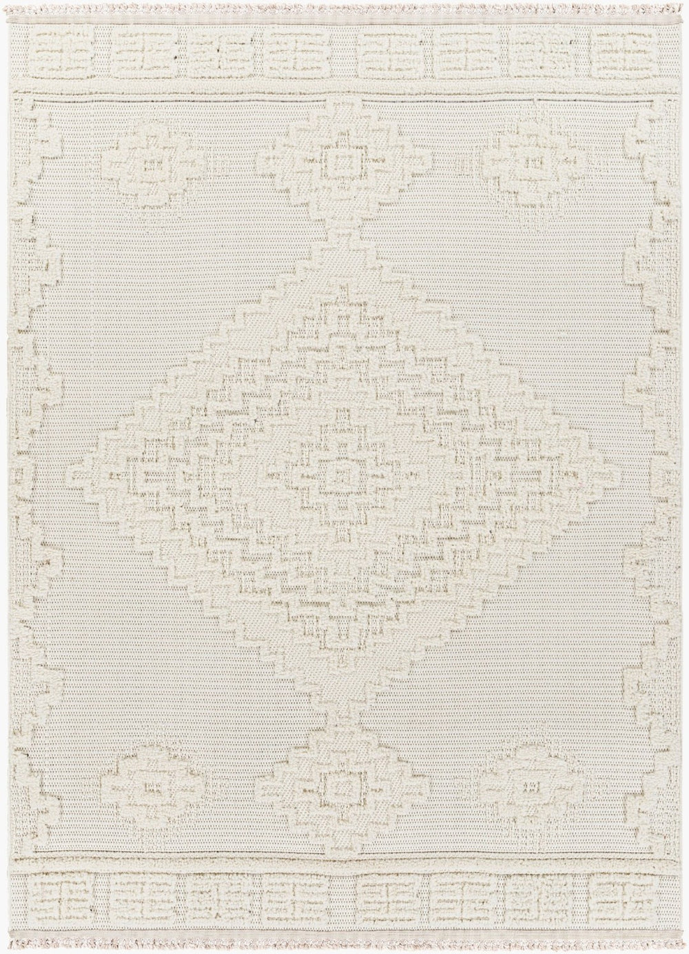Livabliss Zaragoza Bohemian High Pile Polyester Area Rug with Fringe for Living Room ZRZ2316-71010