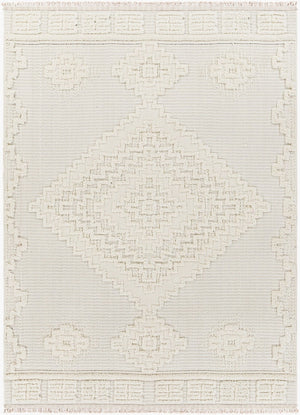 Livabliss Zaragoza Bohemian High Pile Polyester Area Rug with Fringe for Living Room ZRZ2316-71010