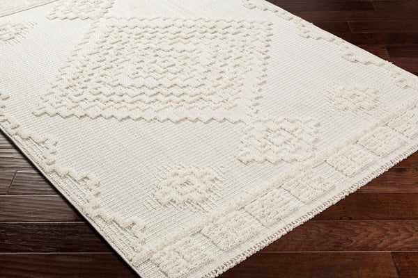Livabliss Zaragoza Bohemian High Pile Polyester Area Rug with Fringe for Living Room ZRZ2316-71010