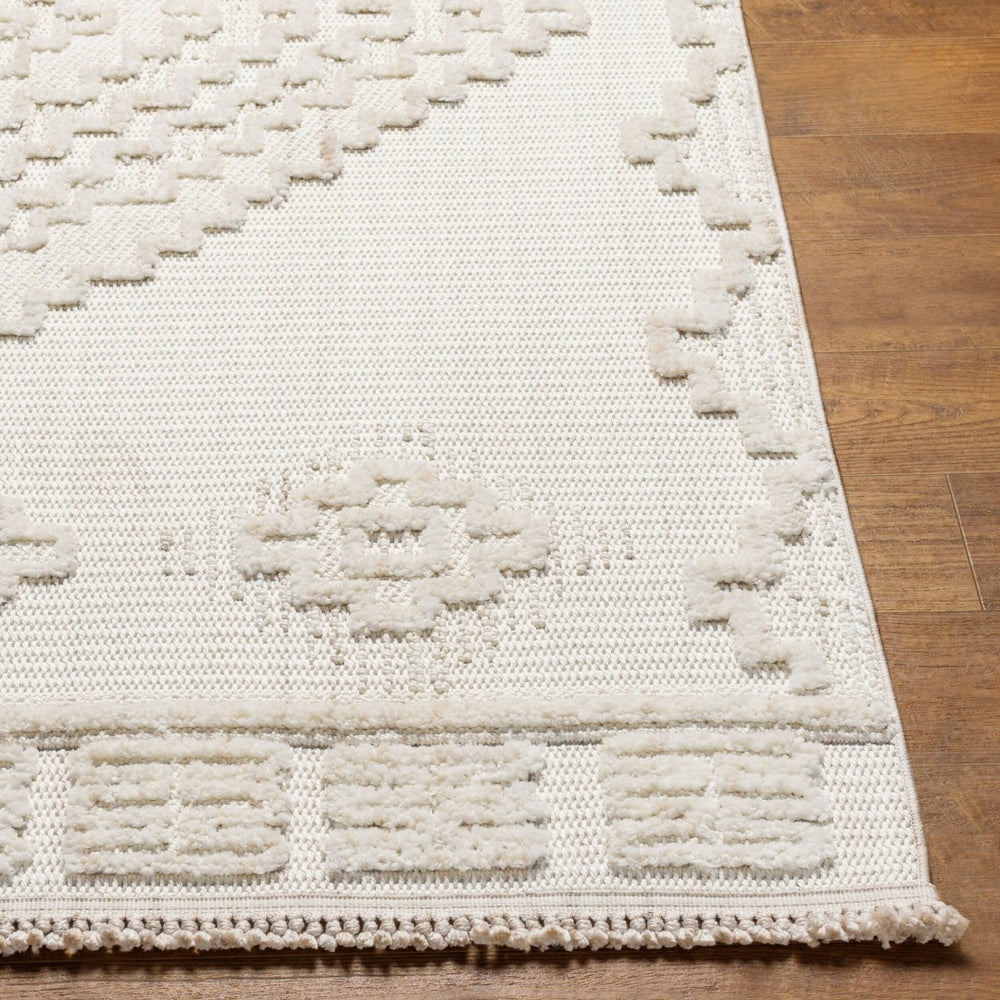Livabliss Zaragoza Bohemian High Pile Polyester Area Rug with Fringe for Living Room ZRZ2316-71010