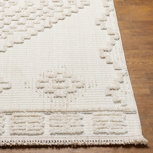 Livabliss Zaragoza Bohemian High Pile Polyester Area Rug with Fringe for Living Room ZRZ2316-71010