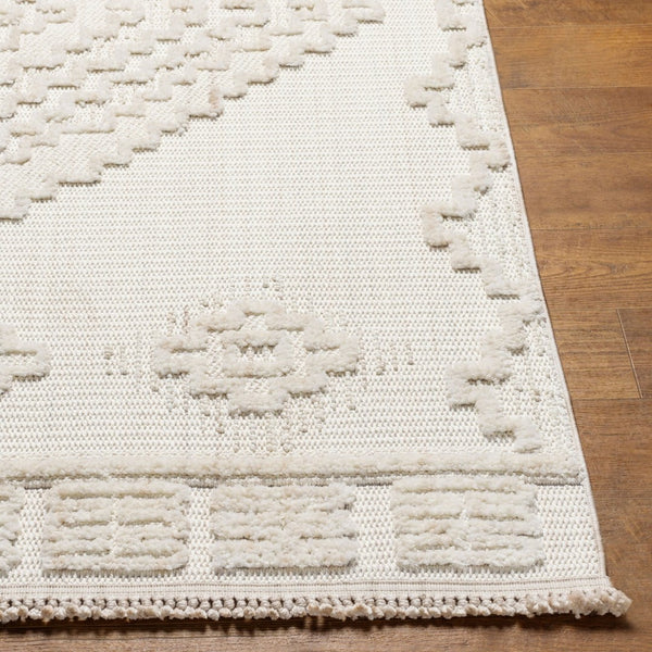 Livabliss Zaragoza Bohemian High Pile Polyester Area Rug with Fringe for Living Room ZRZ2316-71010