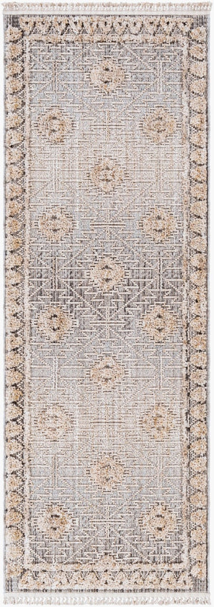 Livabliss Zaragoza Bohemian Global Runner Rug High Pile Polyester Hallway Entryway Accent Light Beige, Ch 2'7" x 7'3" ZRZ2318-2773