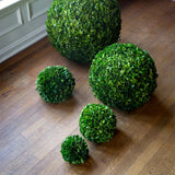 Preserved Boxwood Ball, 16" EBD80085 Park Hill