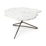 Pinera Coffee Table