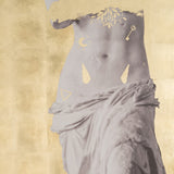 Sagebrook Home Contemporary 47x94, Hand Painted Venus In Gold, Wht 70250 White/gold Gold Leaf