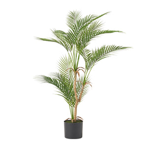 Troup 3' x 2.5' Artificial Palm Tree, Green Noble House