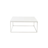 Teresa Square Coffee Table