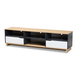 Reed Mid-Century Modern Multicolor 2-Drawer Wood TV Stand