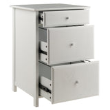 Winsome Wood Delta Home Office File Cabinet, White 10321-WINSOMEWOOD
