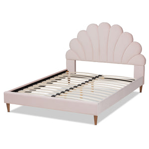 Baxton Studio Odille Modern Glam Light Pink Velvet Upholstered Walnut Brown Finished Wood Queen Size Seashell Shaped Platform Bed