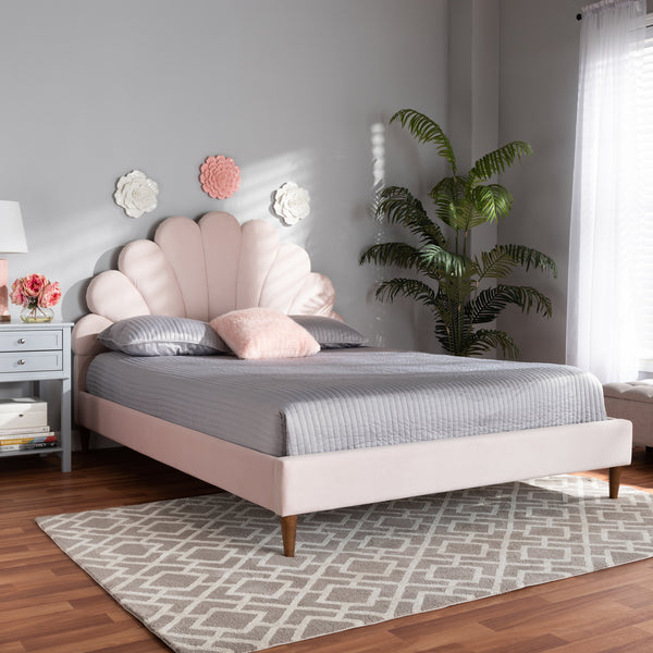 Baxton Studio Odille Modern Glam Light Pink Velvet Upholstered Walnut Brown Finished Wood Queen Size Seashell Shaped Platform Bed