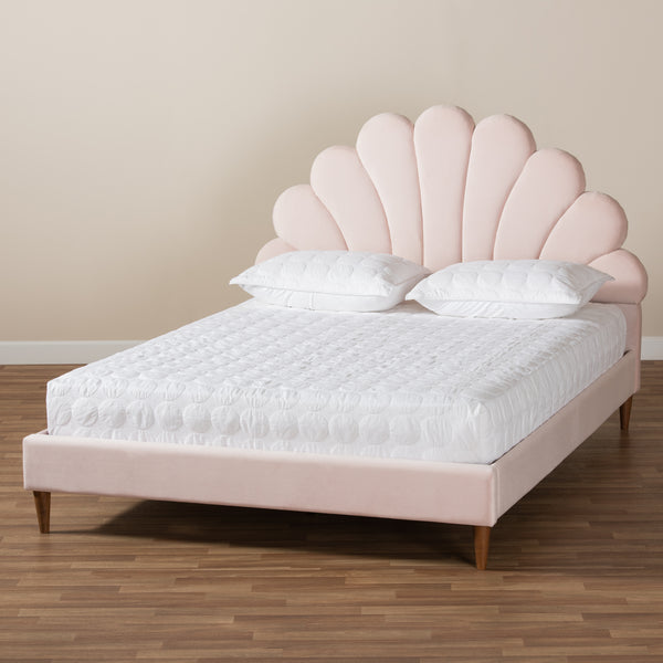 Baxton Studio Odille Modern Glam Light Pink Velvet Upholstered Walnut Brown Finished Wood Queen Size Seashell Shaped Platform Bed