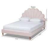 Baxton Studio Odille Modern Glam Light Pink Velvet Upholstered Walnut Brown Finished Wood Queen Size Seashell Shaped Platform Bed