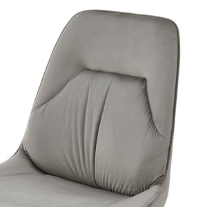 New Pacific Direct Pablo Velvet Fabric Dining Side Chair - Set of 2 1060021-363-NPD